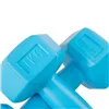 Hex Dumbbell Springos FA1030 2 x 1 kg