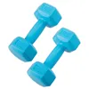 Hex Dumbbell Springos FA1030 2 x 1 kg