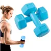 Hex Dumbbell Springos FA1030 2 x 1 kg