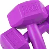 Dumbbell Springos FA1032 2x2kg