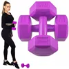 Dumbbell Springos FA1032 2x2kg