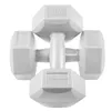 Hex dumbbells Springos FA1035 2 x 4 kg