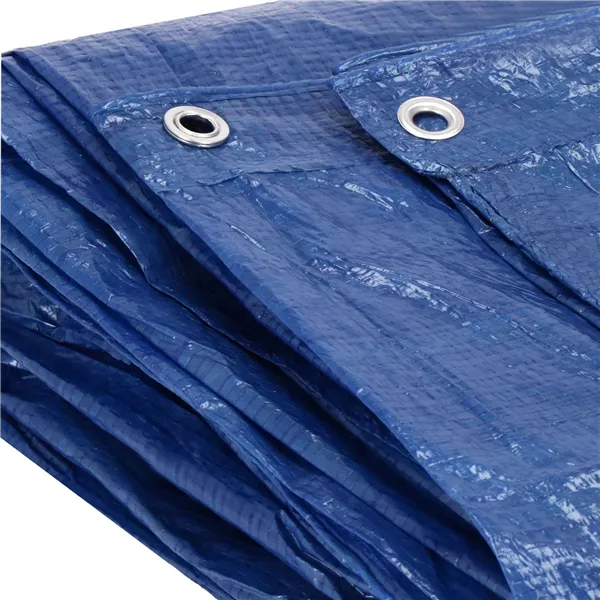 Tarpaulin Springos GA2114 5x8m blue