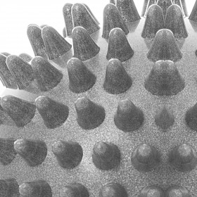 Massaažipall Springos FA0048 | Osta veebist — Megaluks