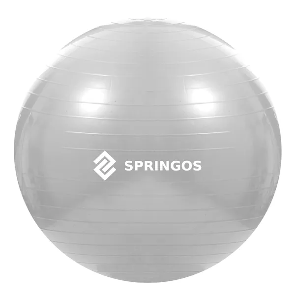 Exercise ball with pump Springos FB0008 75cm