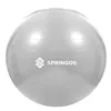 Exercise ball with pump Springos FB0008 75cm