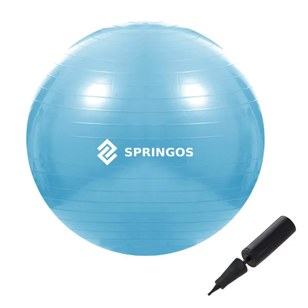 Exercise ball with pump Springos FB0006 55cm