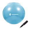 Exercise ball with pump Springos FB0006 55cm