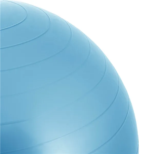 Exercise ball with pump Springos FB0006 55cm