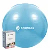 Exercise ball with pump Springos FB0006 55cm