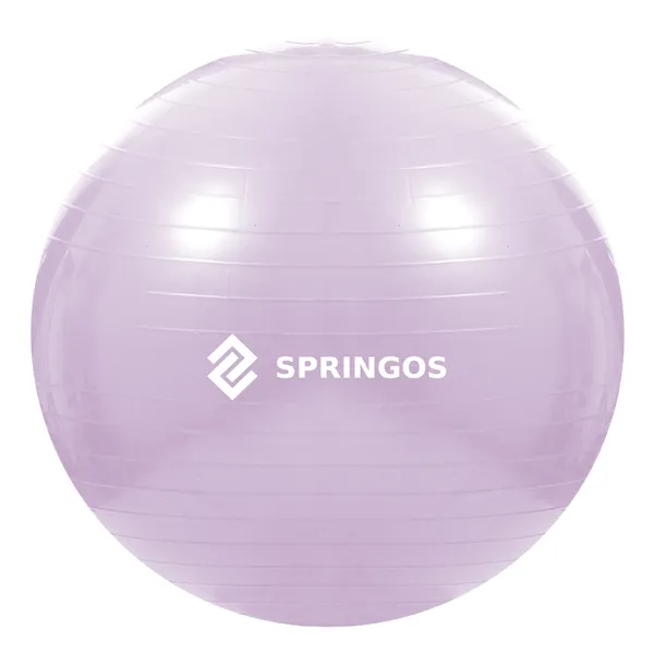 Exercise ball with pump Springos FB0011 65 cm