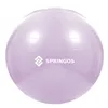 Exercise ball with pump Springos FB0011 65 cm