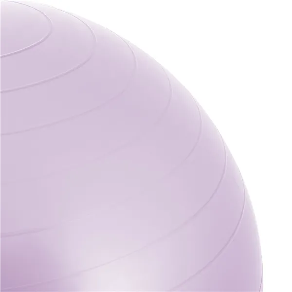 Exercise ball with pump Springos FB0011 65 cm