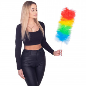 Putekļu birste Springos HA7464