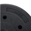 Weight plate Springos FA1022  2.5kg