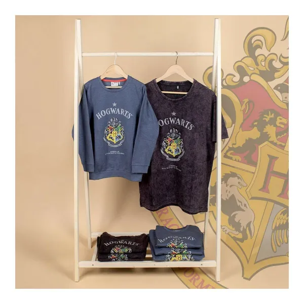Lasten pitkähihainen paita Harry Potter Harmaa Tumman harmaa