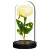 Eternal rose in glass Springos HA7443