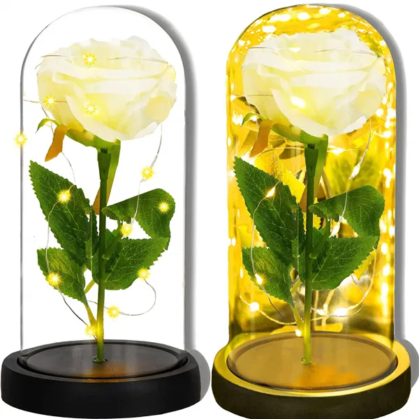 Eternal rose in glass Springos HA7443