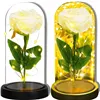 Eternal rose in glass Springos HA7443