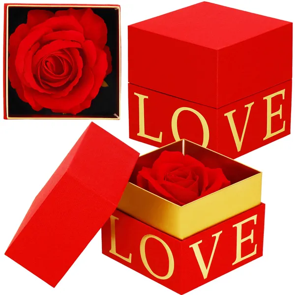 Amžinoji rožė Springos HA7448