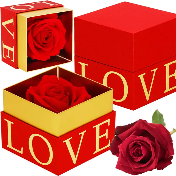 Amžinoji rožė Springos HA7448