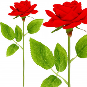 Вечная роза Спрингос HA7449