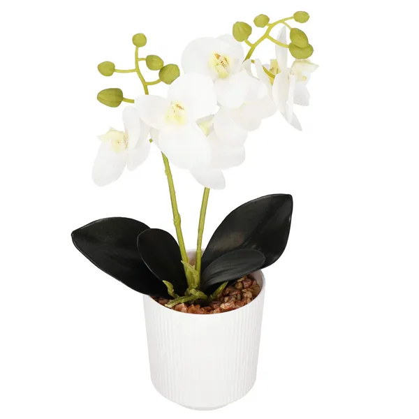 Artificial orchid Springos HA7423