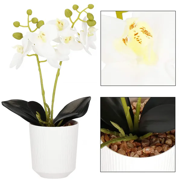 Artificial orchid Springos HA7423