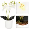 Artificial orchid Springos HA7423