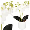 Artificial orchid Springos HA7423