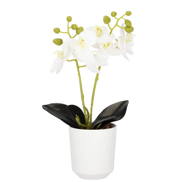 Artificial orchid Springos HA7423