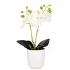 Artificial orchid Springos HA7423