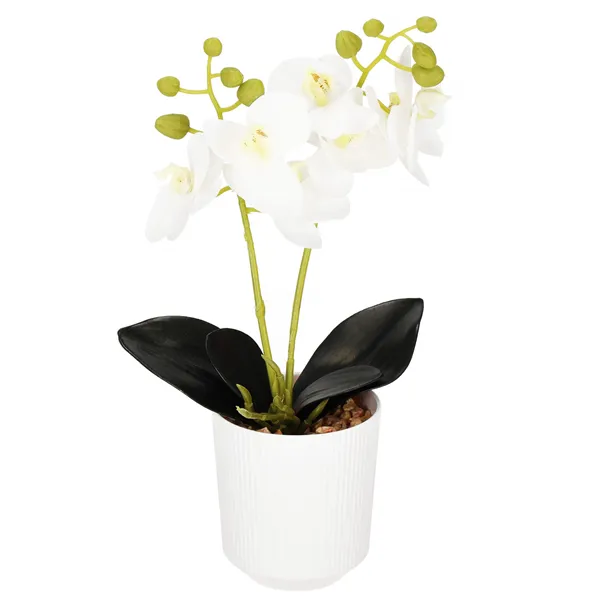 Artificial orchid Springos HA7423