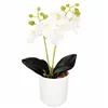 Artificial orchid Springos HA7423