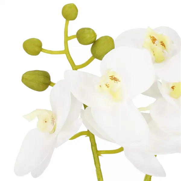 Artificial orchid Springos HA7423