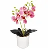 Artificial orchid Springos HA7424