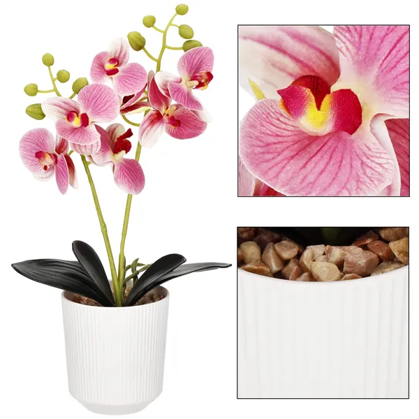 Artificial orchid Springos HA7424