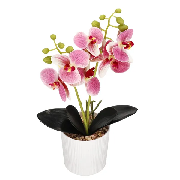 Artificial orchid Springos HA7424