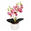 Artificial orchid Springos HA7424