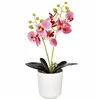 Artificial orchid Springos HA7424