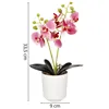 Artificial orchid Springos HA7424