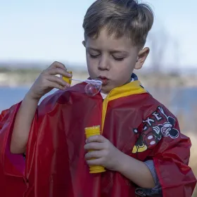 Солнцезащитный парус Springos SN1066 4 x 3м кре | Купить онлайн — Megaluks