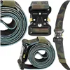 Belt Springos CS0100