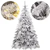 Caucasian snow fir Springos CT0124 180cm