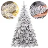 Caucasian snow fir Springos CT0124 180cm