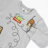 Sweatshirt without Hood Toy Story Grey