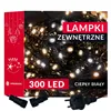 CL0328 FLASH 300 LED CHRISTMAS LIGHTS