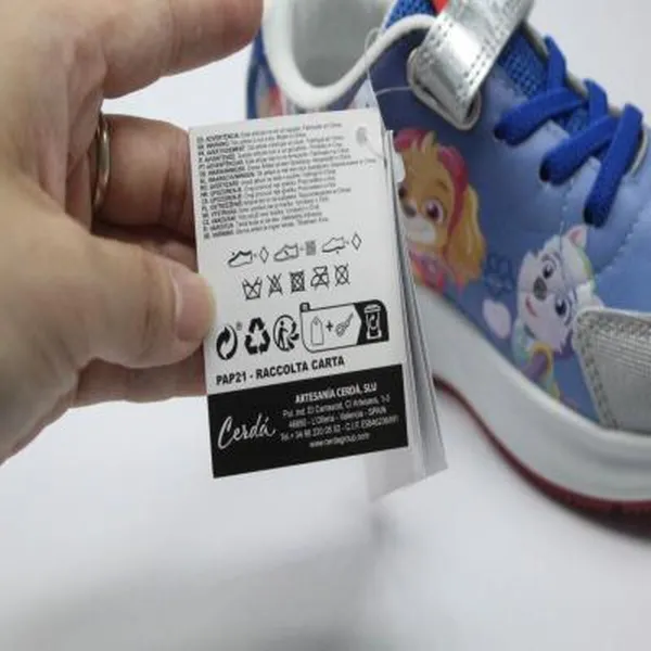 Sports Shoes for Kids The Paw Patrol Blue