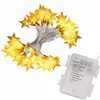 CL0179 50 LED LAMPS