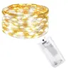 CL0012 LED BATTERY LAMPS 20 LEDs